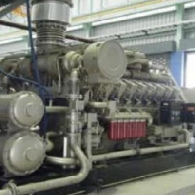 थाईलैंड 5×1000kW बायोगैस जेनसेट